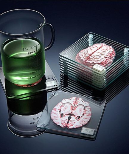 3D Brain Specimen Coaster Set